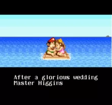 Image n° 8 - screenshots  : Super Adventure Island II (Beta)